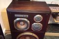 Enceinte Diatone DS-5000 (Import)