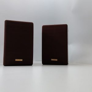 Enceinte Diatone DS-100Z (Import)