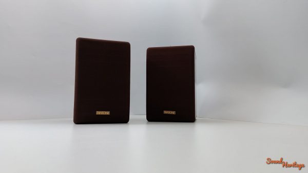 Enceinte Diatone DS-100Z (Import)