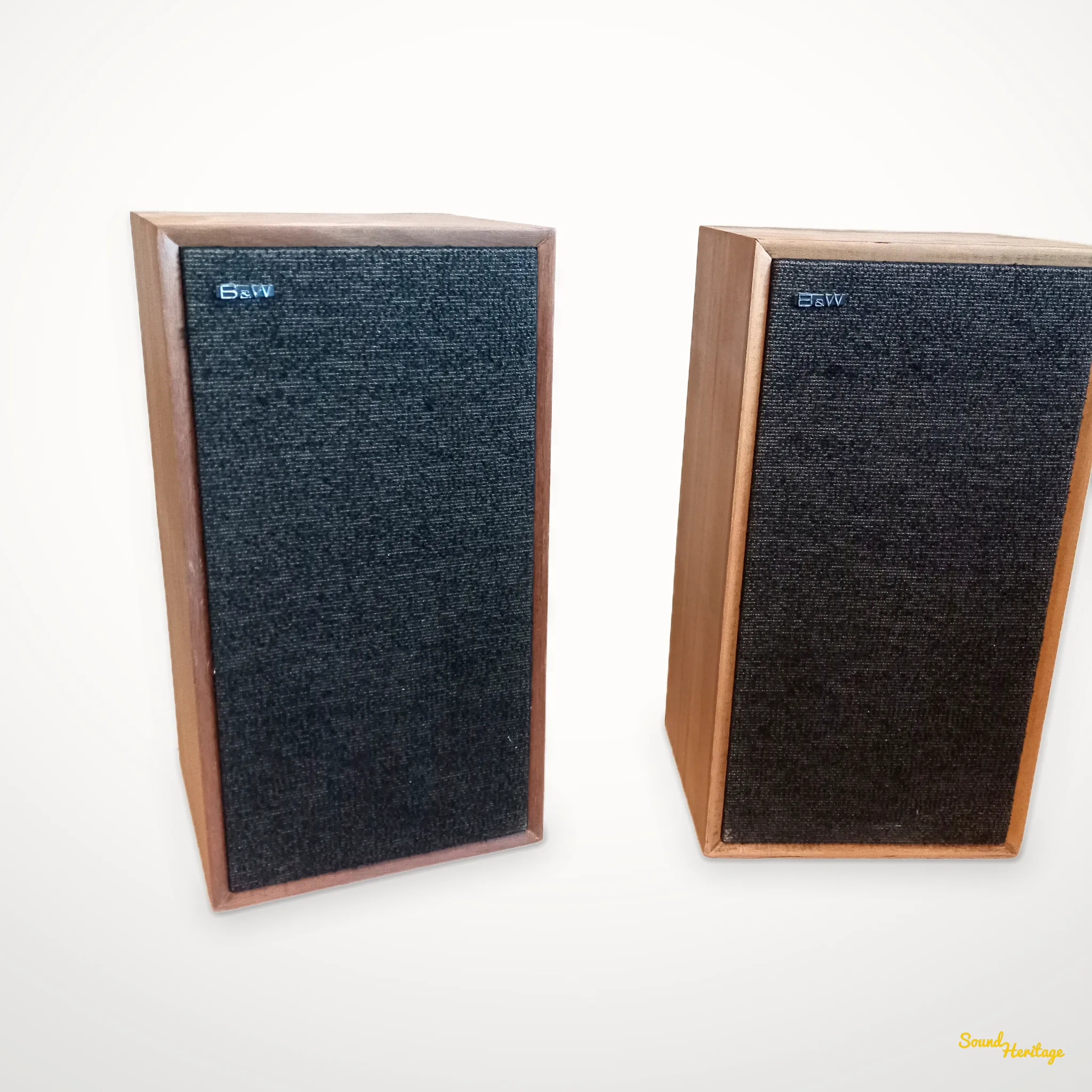 Enceinte B&W DM1 – Image 2